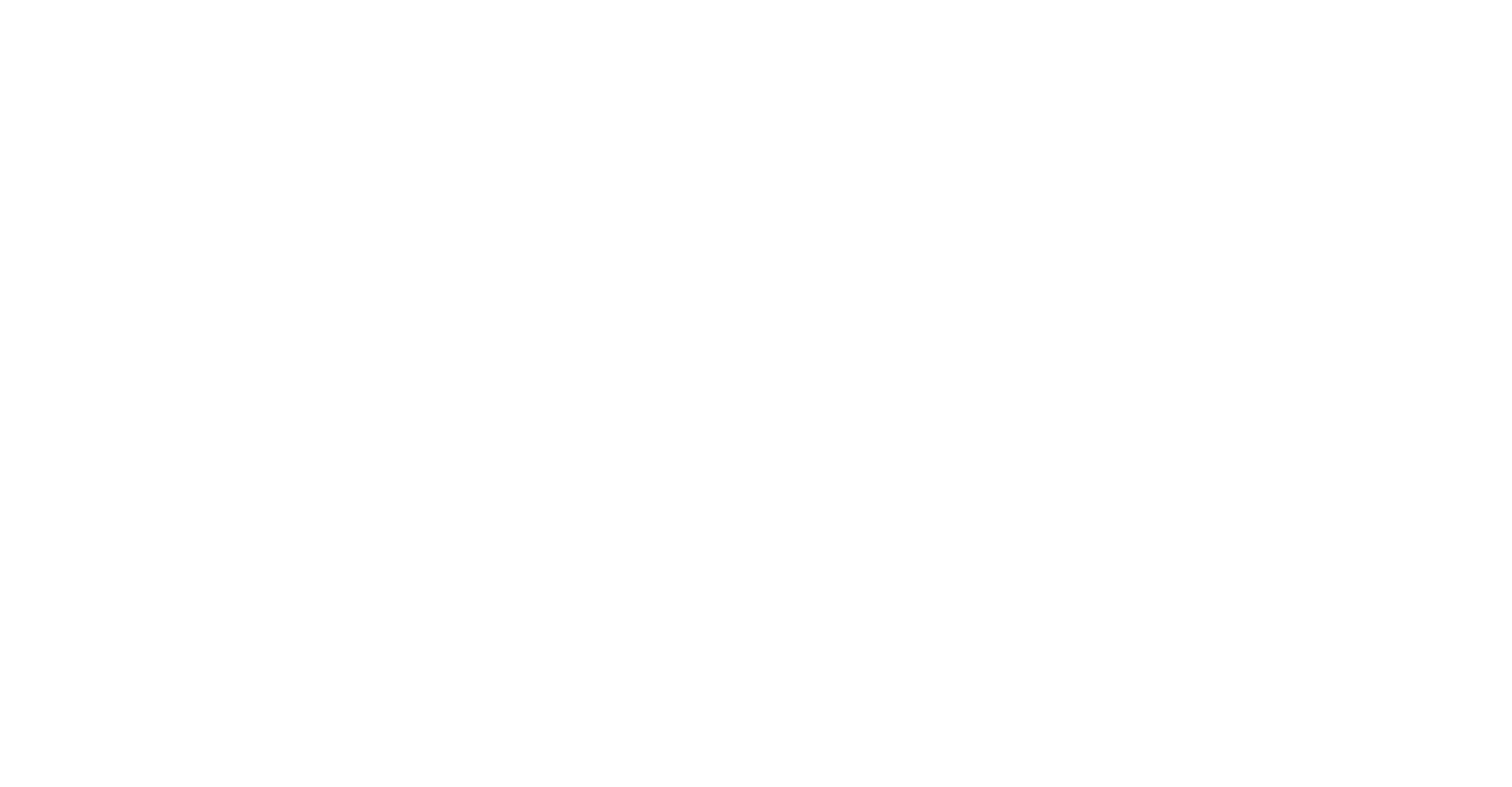 light logo
